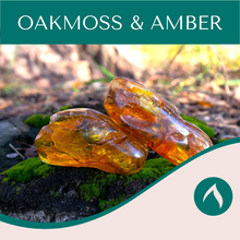Load image into Gallery viewer, Oakmoss & Amber
