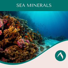 Load image into Gallery viewer, Sea Minerals
