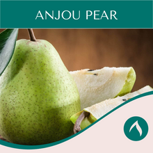 Load image into Gallery viewer, Anjou Pear