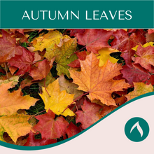 Load image into Gallery viewer, Autumn Leaves