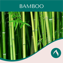 Load image into Gallery viewer, Bamboo