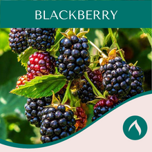 Load image into Gallery viewer, Blackberry