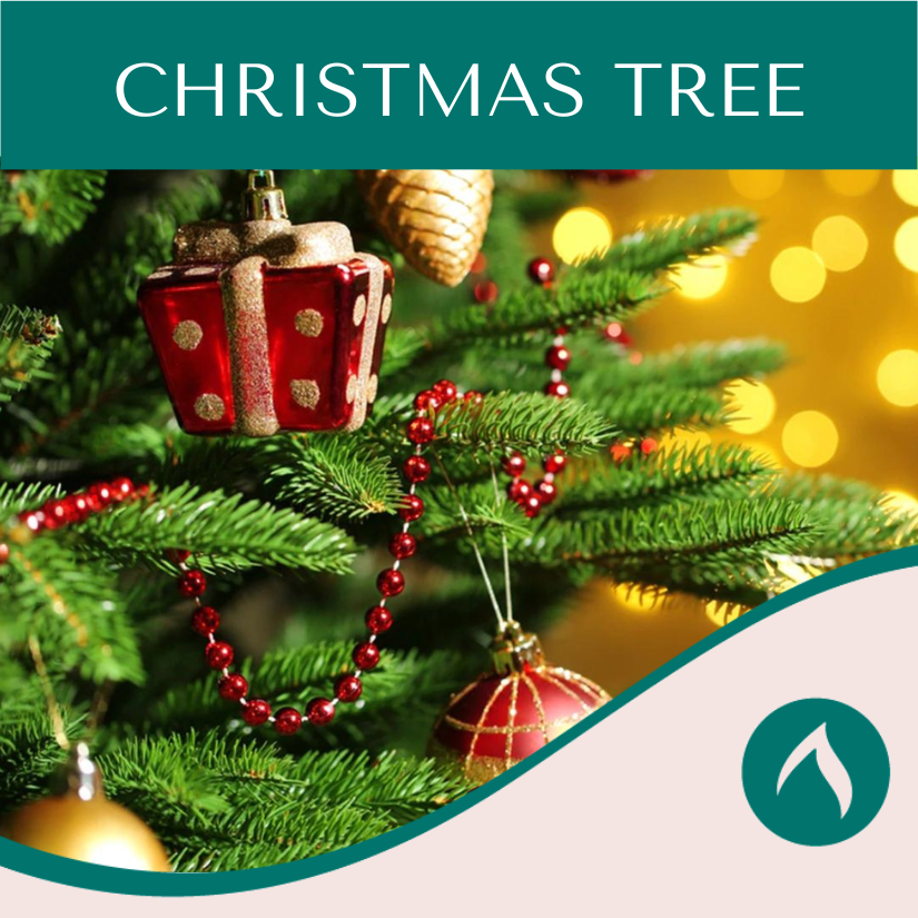 Christmas Tree Dundee Candle Co