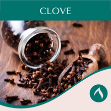 Load image into Gallery viewer, Clove