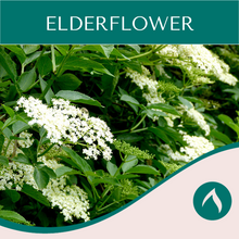 Load image into Gallery viewer, Elderflower