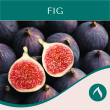 Load image into Gallery viewer, Fig
