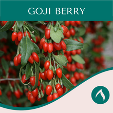 Load image into Gallery viewer, Goji Berry