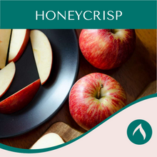 Load image into Gallery viewer, Honeycrisp