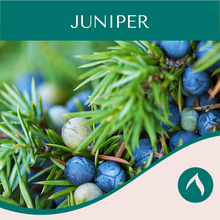 Load image into Gallery viewer, Juniper