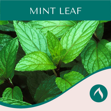 Load image into Gallery viewer, Mint Leaf