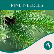 Load image into Gallery viewer, Pine Needles