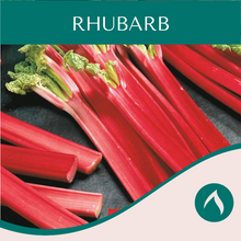 Load image into Gallery viewer, Rhubarb