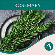 Load image into Gallery viewer, Rosemary