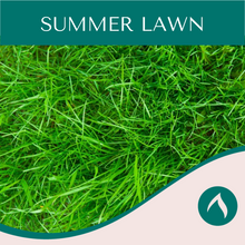 Load image into Gallery viewer, Summer Lawn