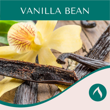 Load image into Gallery viewer, Vanilla Bean