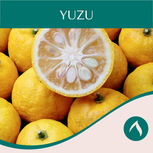 Load image into Gallery viewer, Yuzu