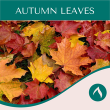 Load image into Gallery viewer, Autumn Leaves
