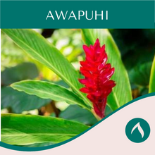 Load image into Gallery viewer, Awapuhi
