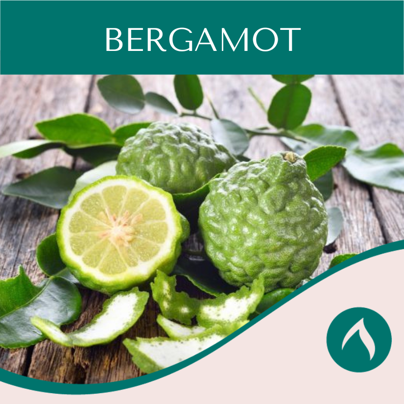 Bergamot