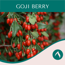 Load image into Gallery viewer, Goji Berry
