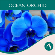 Load image into Gallery viewer, Ocean Orchid
